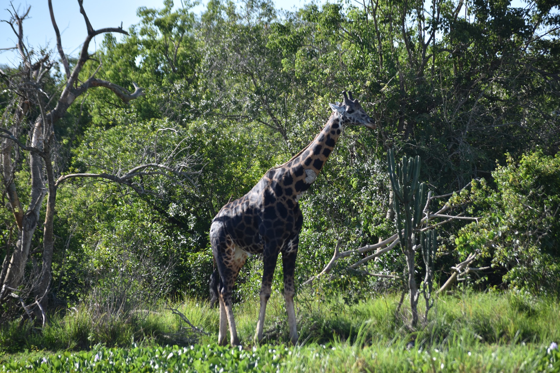 Kidepo Valley National Park