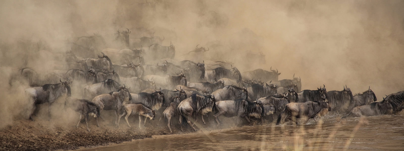 Maasai Mara National Reserve
