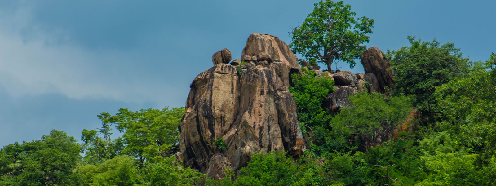 Lake Nakuru National Park wilderness photography 4