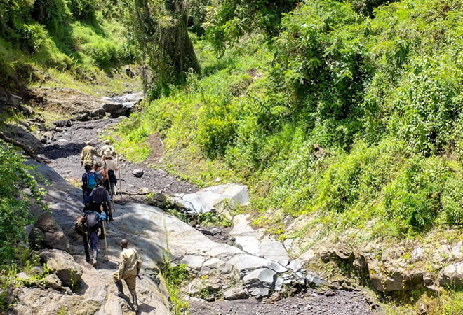 bwindi_guided_walk