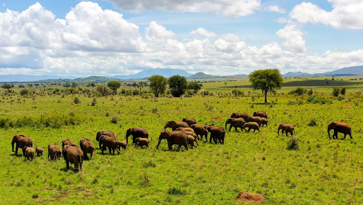 Tarangire National Park