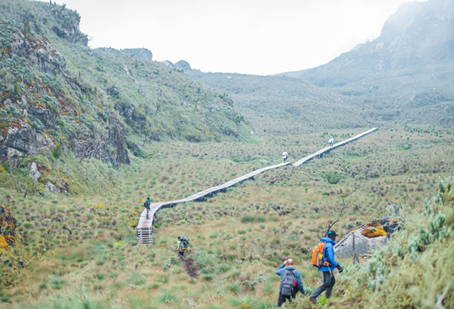 rwenzori_mt2